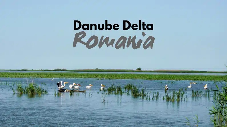 Delta Dunării tour from Bucharest
